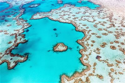 Heart Reef im Great Barrier Reef